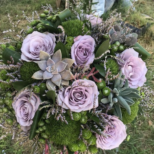 Purple Rose and Succulent Compatibility