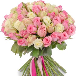 Pink and White Love Roses