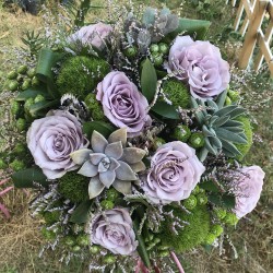 Purple Rose and Succulent Compatibility 2