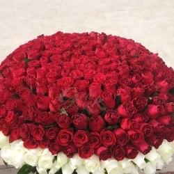 Red roses Arrangement 2