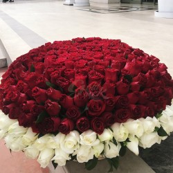 Red roses Arrangement